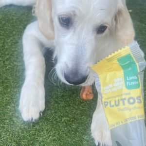 Bucky avec un os plutos