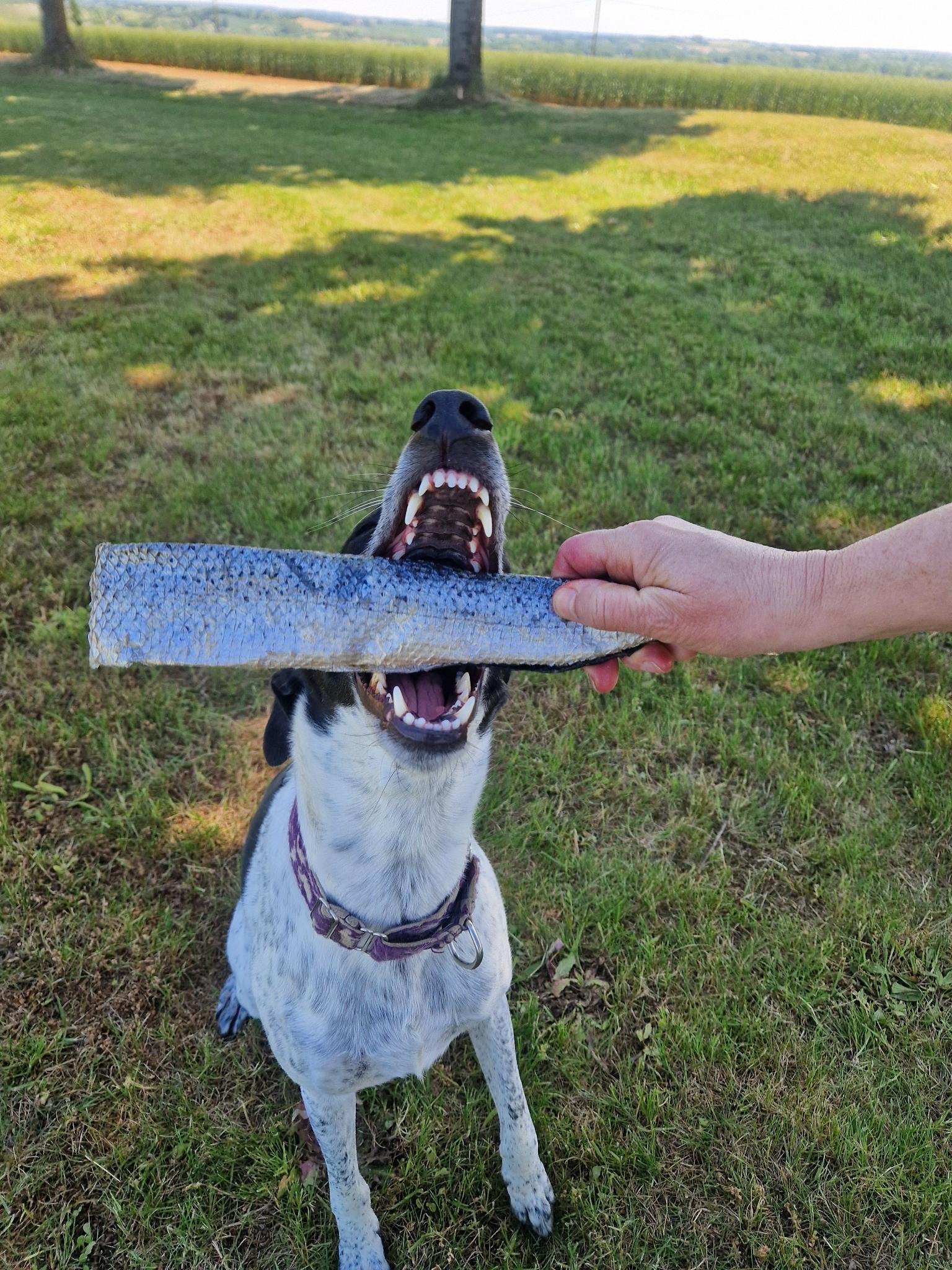 Lora Lora avec une peau de saumon