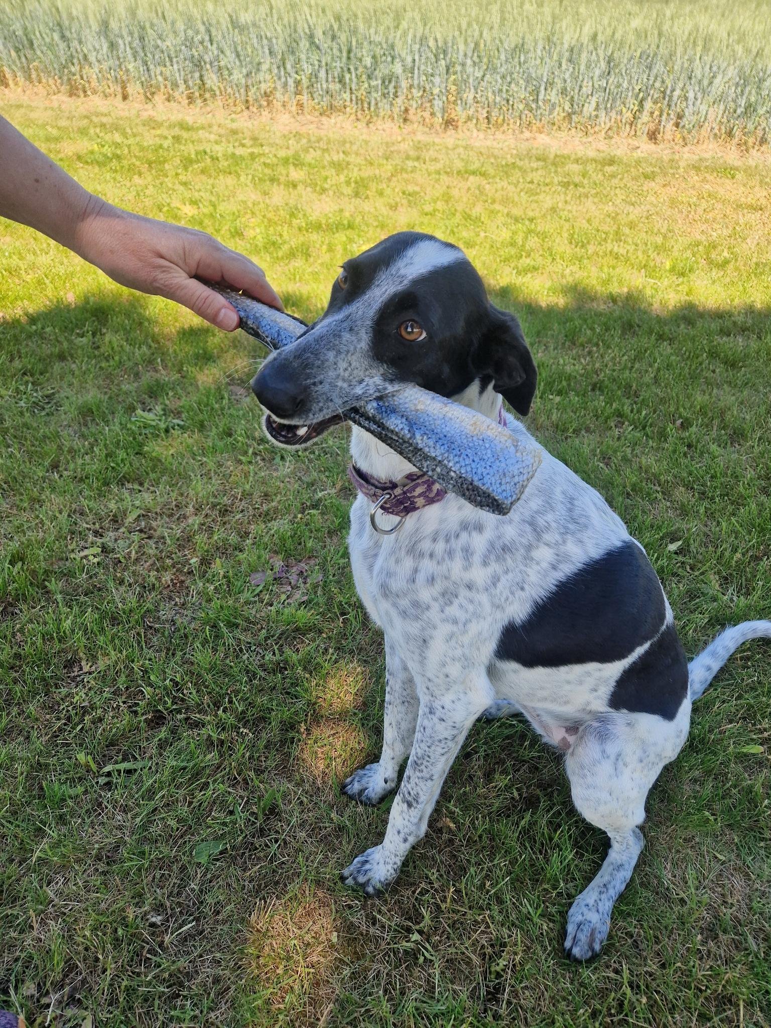 Lora Lora avec une peau de saumon