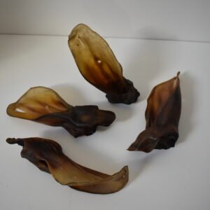 Oreilles de boeuf sans poils